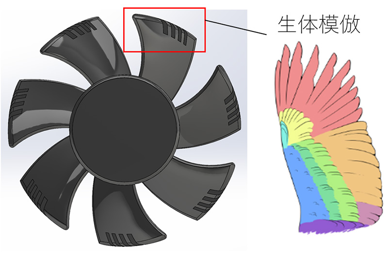 生体模倣による次世代高効率ファン・圧縮機